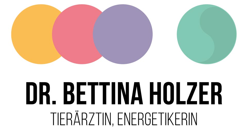 Ganzheitliche Energiearbeit Logo