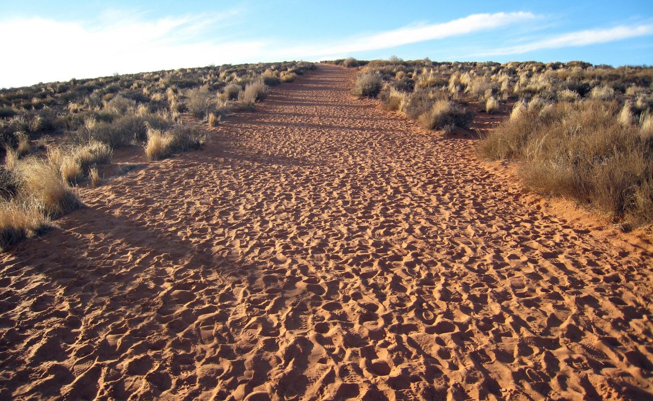 Connection – Love – Purpose