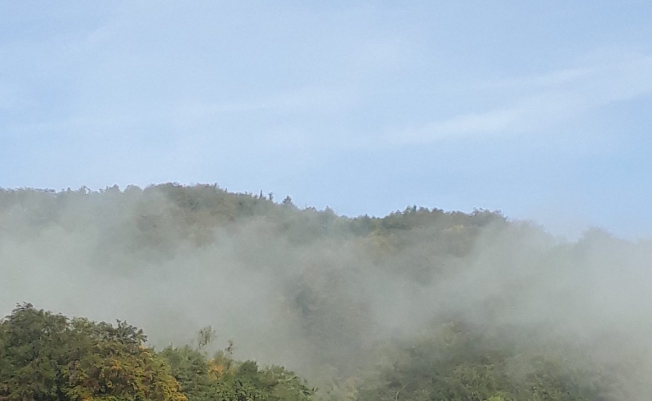 Make your dreams come true…